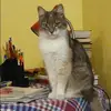 Отзыв от Нелли Кондратова